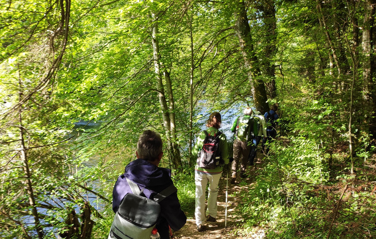 De Saint-Ursanne à Soubey : de pont en pont