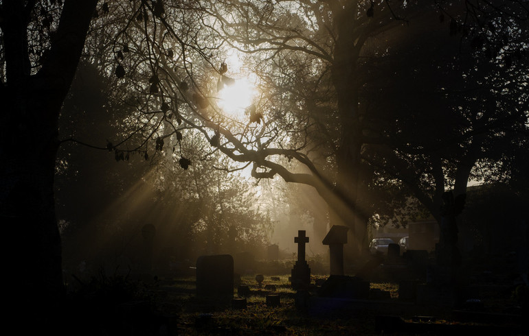 Pastorale des familles : Une semaine thématique autour de la mort