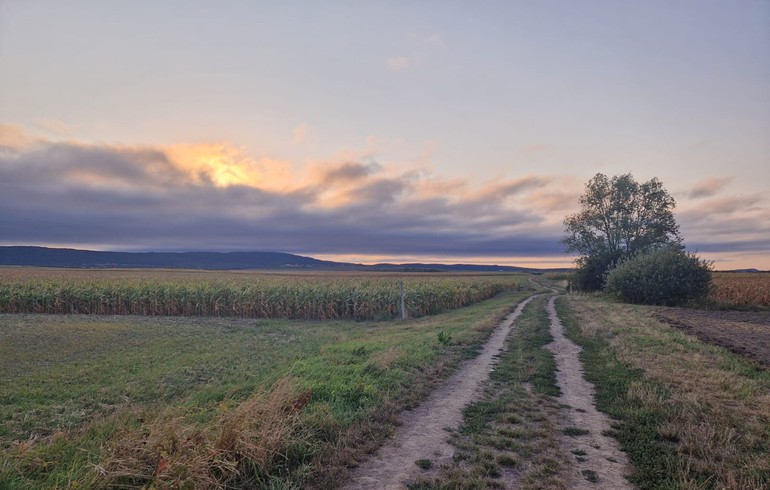 Quand la Bible ouvre un chemin de consolation